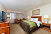 1 King Bed Room