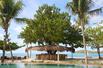 Tree Bar