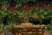 Pool Bar
