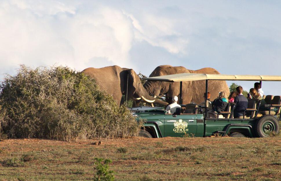 Game drive