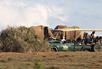 Game drive