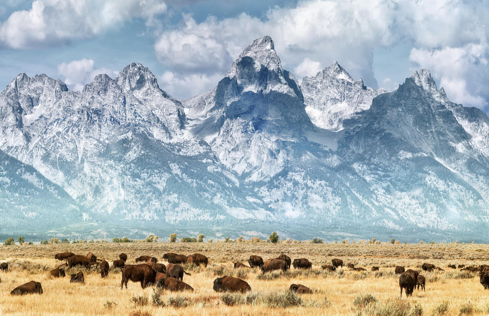 Best of the American Rockies
