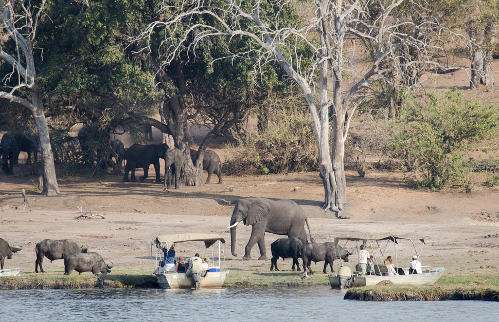 Best of Botswana