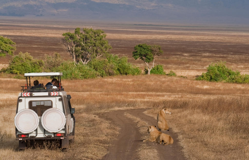A Taste of Tanzania