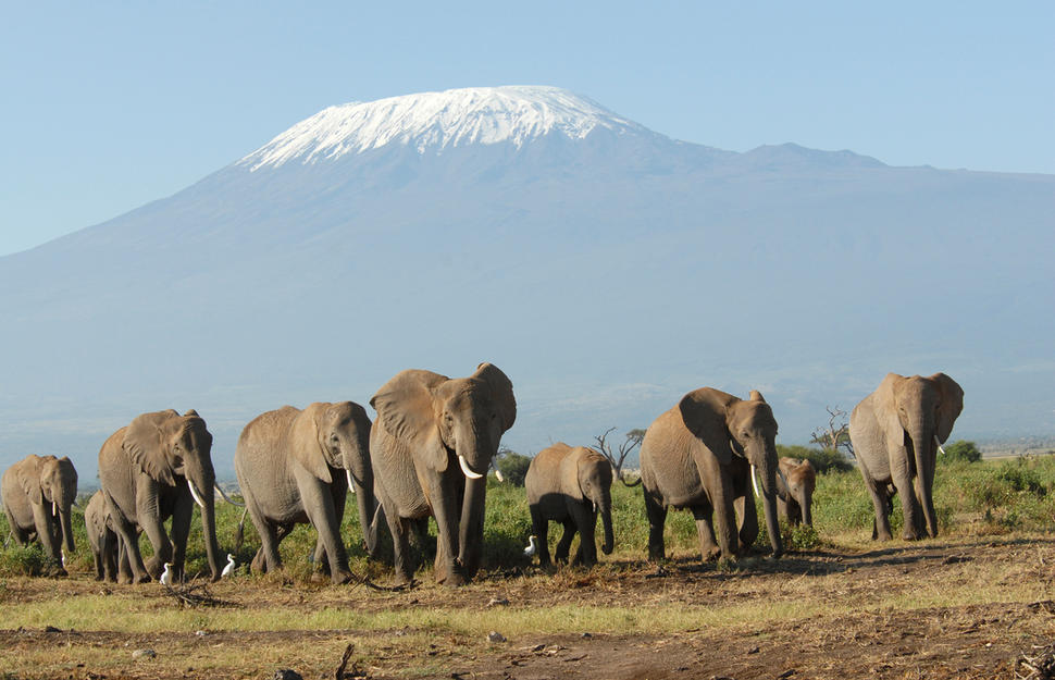 A Taste of Kenya