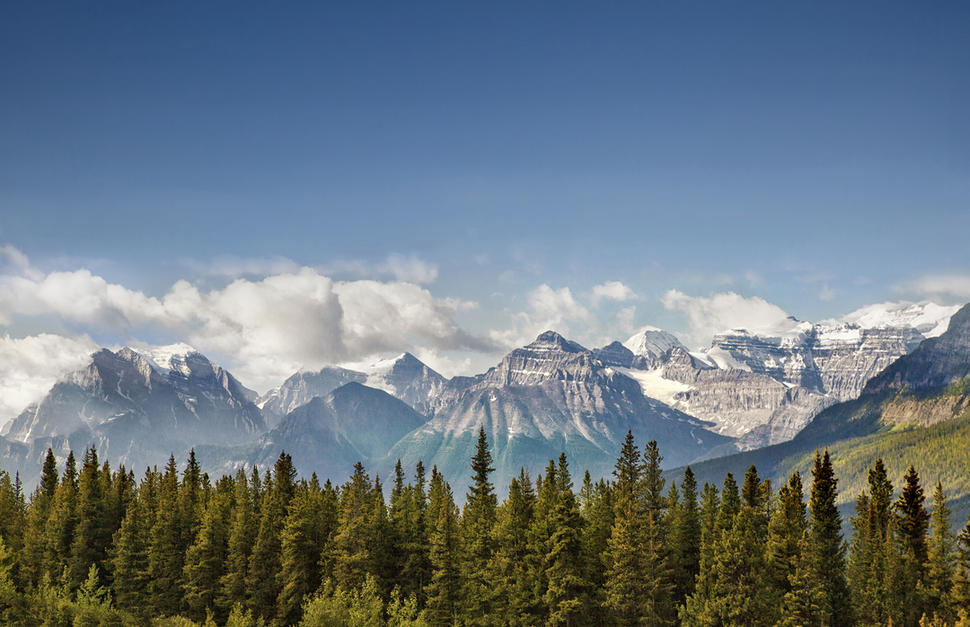 Rockies Trail