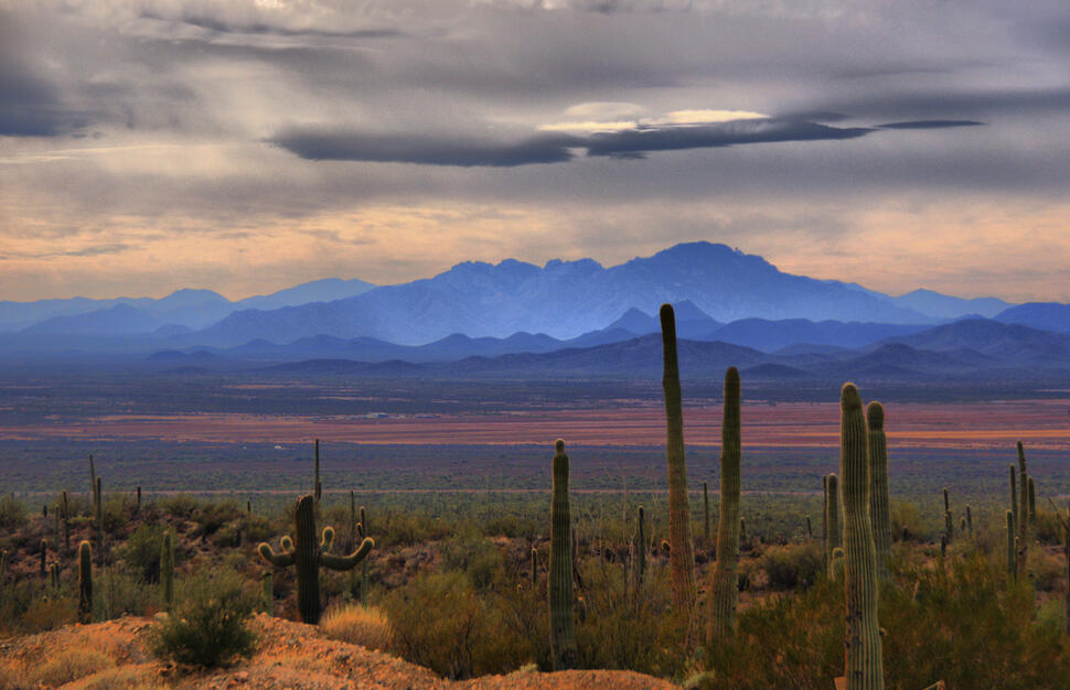 The Splendid West