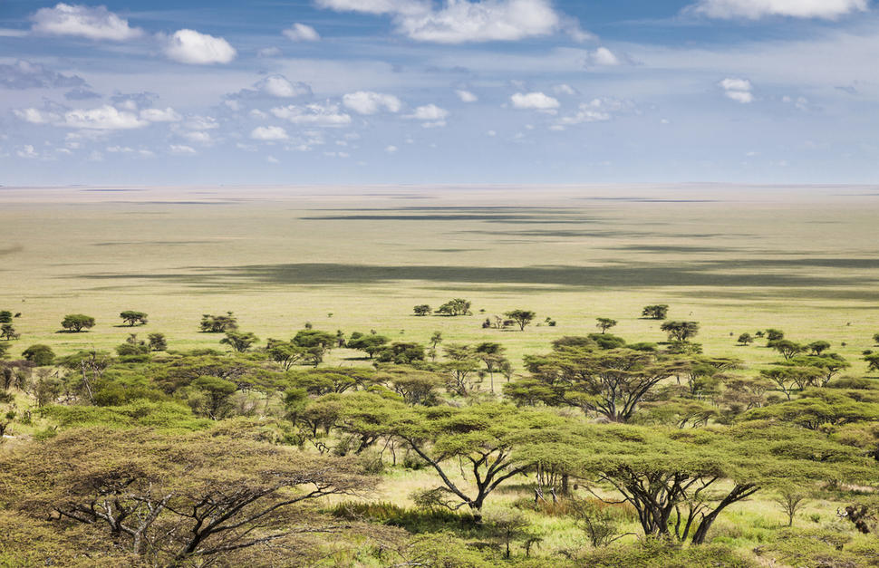 Tanzania Discovery