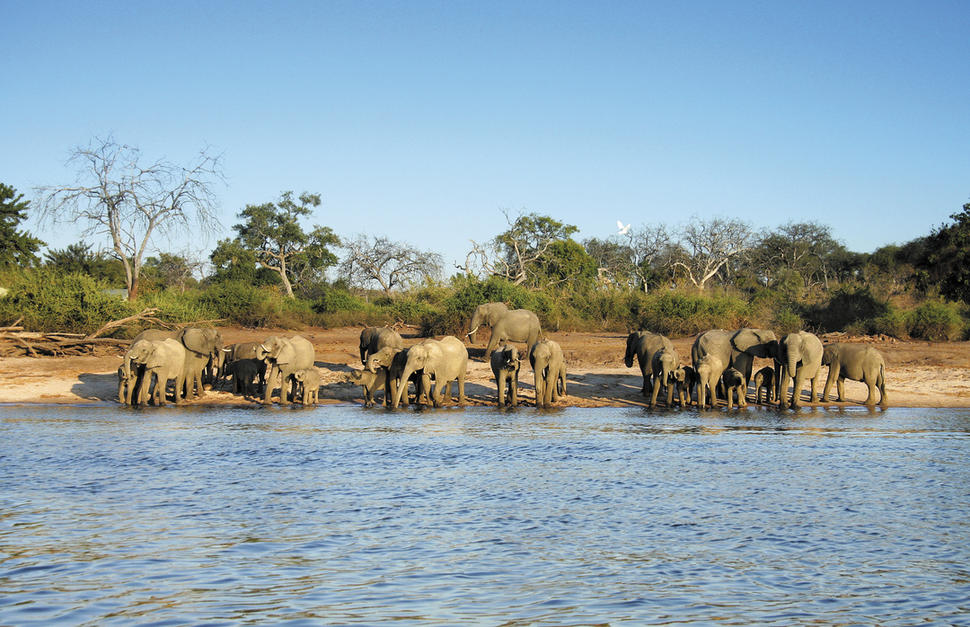 Essential Botswana