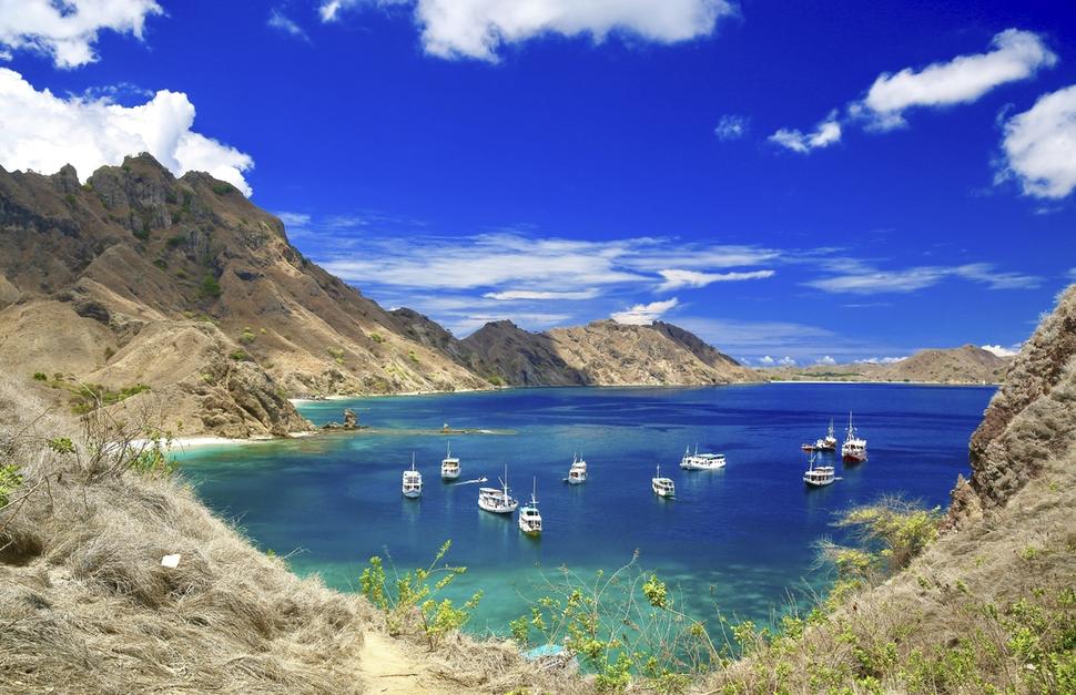 Komodo Adventure