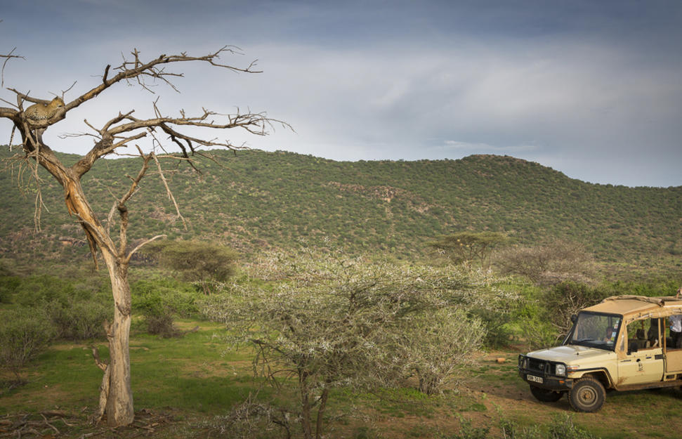 Big Five Flying Safari