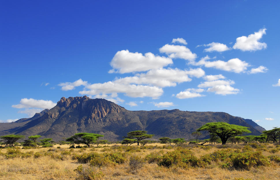 Born Free Safari
