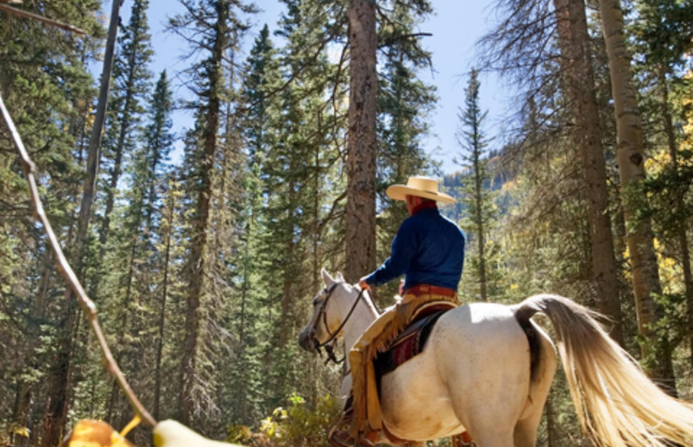 The Good, The Bad and The Wild Wild West