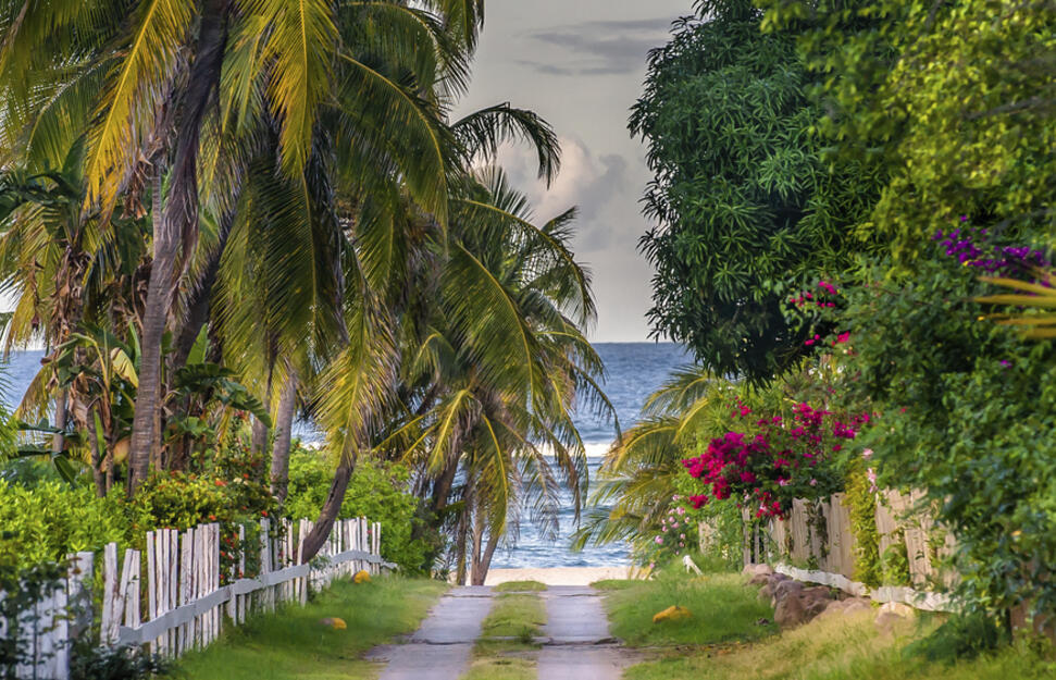 Nisbet Plantation Beach Club | Nevis, St Kitts and Nevis Hotel | Virgin