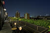 PHD Rooftop Lounge