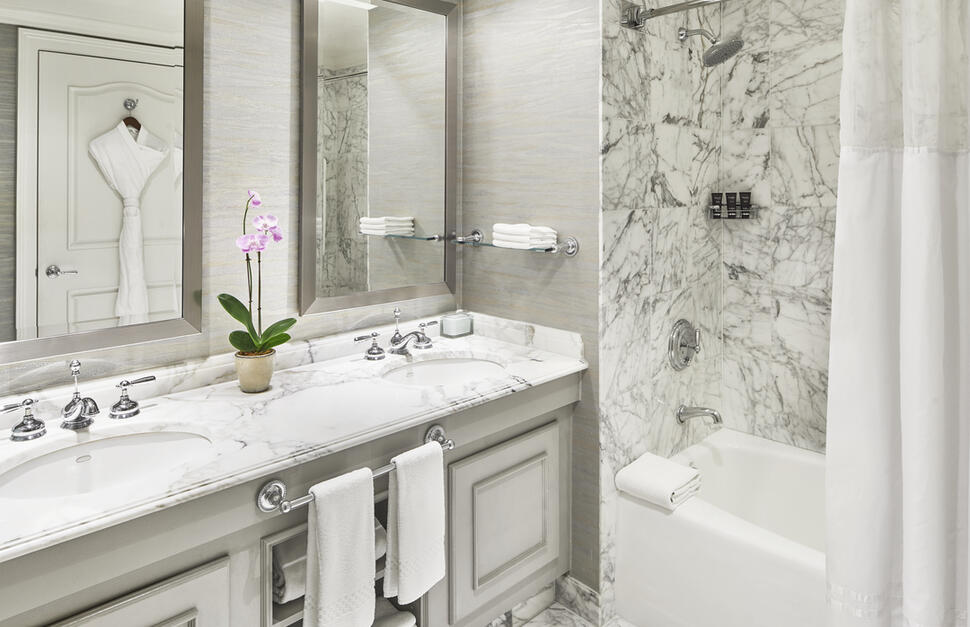 Deluxe Guest Room Bathroom