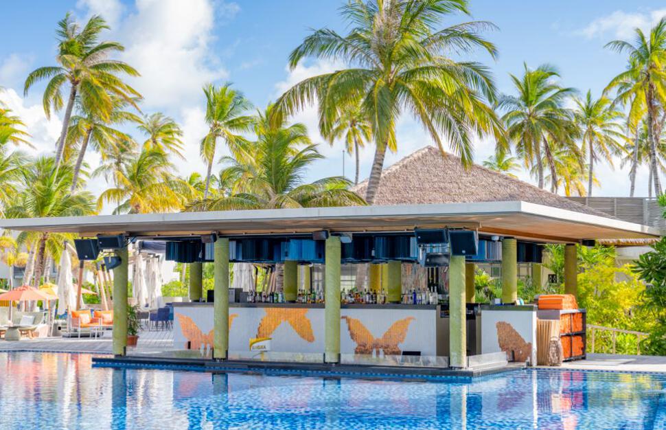 The Butterfly pool bar