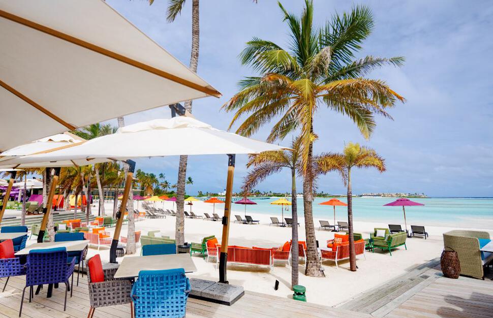 The Elephant & Butterfly