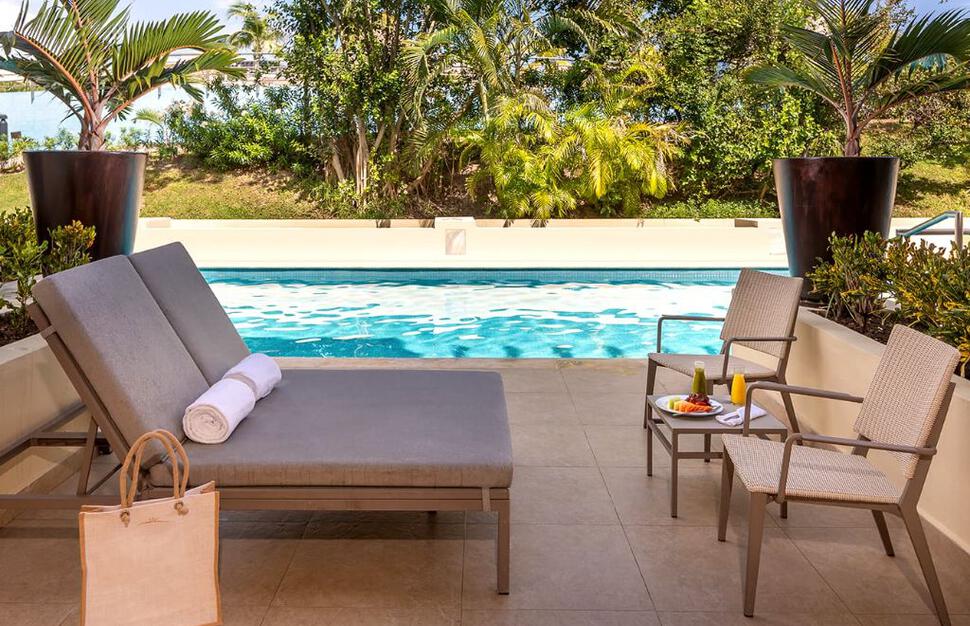 Grand Swim Up Suite