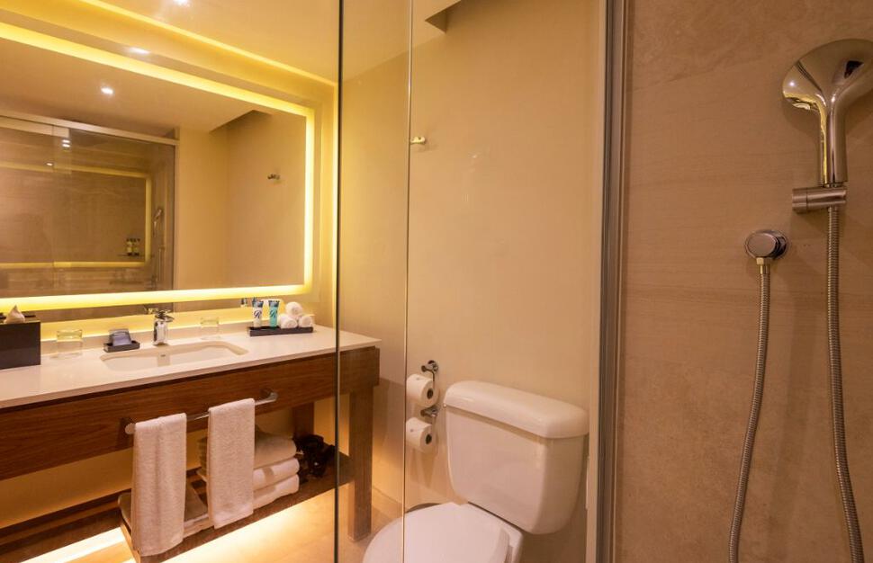 Luxury Room