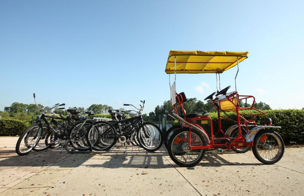 Bike Rentals