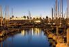 Marina in the evening