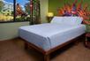 Lion King Family Suite