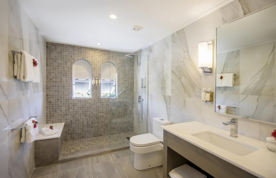 1-Bedroom Penthouse Suite