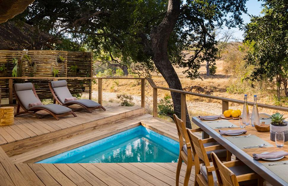 Safari Suite