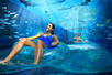 Aquaventure Waterpark Shark Safari