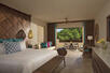 Junior Suite Tropical View