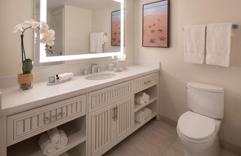Guest Room Bathroom