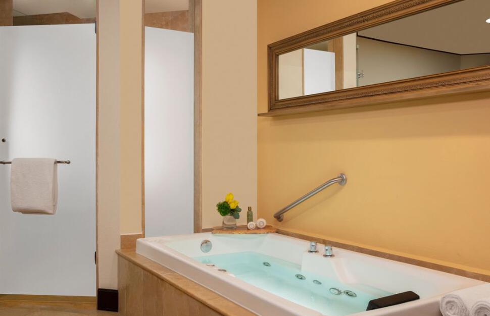 Preferred Club and Premium Deluxe Bathroom