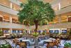 Grand Cafe