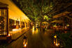 Ficus Wine Bar