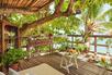 The Treehouse
