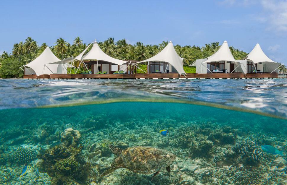 House Reef