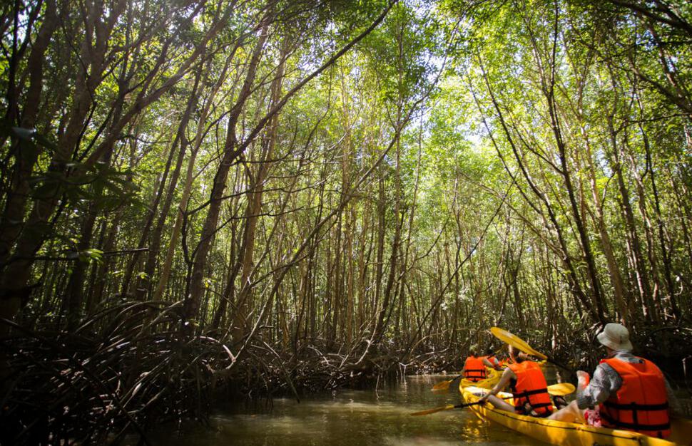 Nature Safari Tour