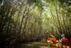 Nature Safari Tour