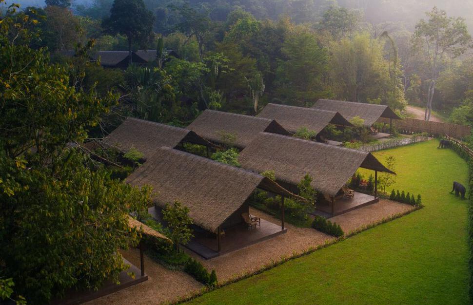 The Elephant Camp