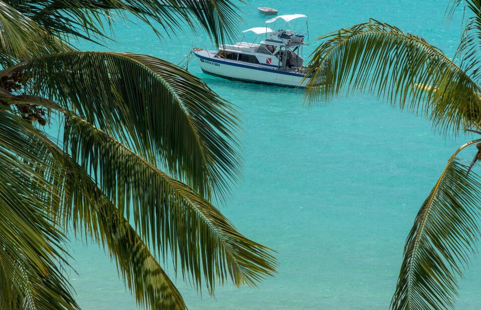 Penthouse Suite view