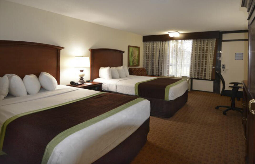 Standard Double Room