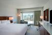 Premium King Room