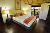 Tree Top One Bedroom Suite