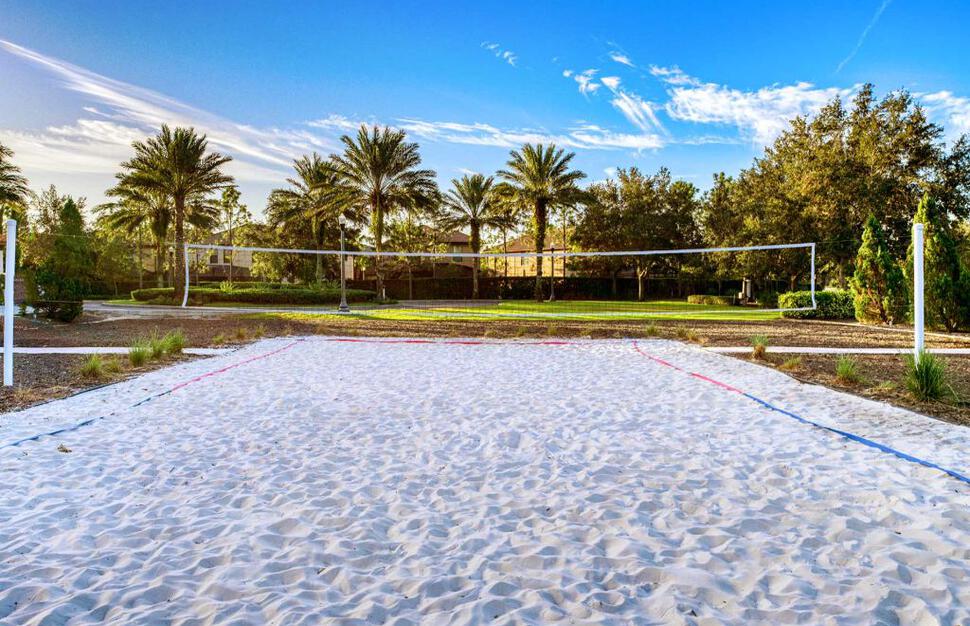 Volleyball court