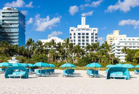 Beach chairs and umbrellas