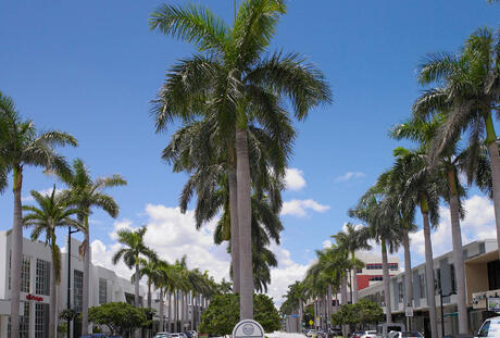 Grand Beach Hotel Bay Harbor