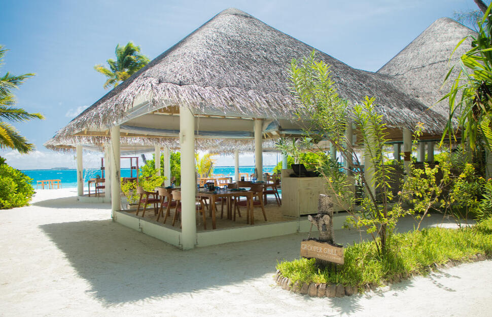 Grouper Grill
