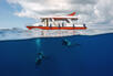 Diving