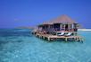 Honeymoon Suite